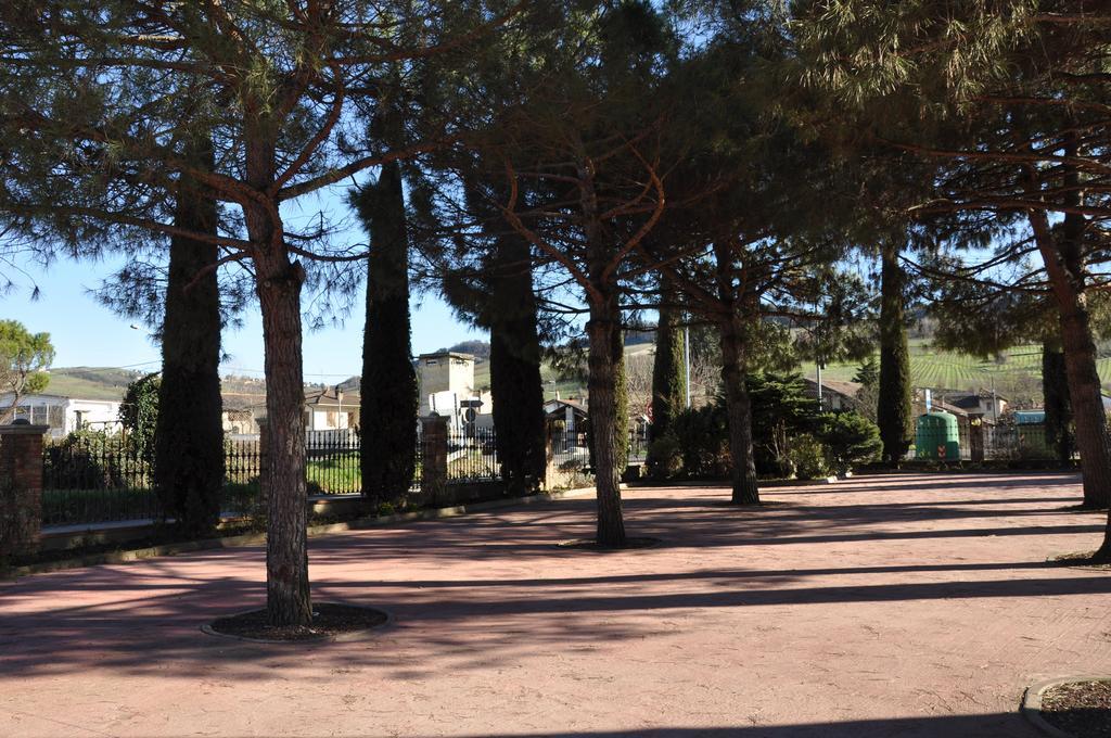 Agriturismo Corte Montini Βίλα Santa Giuletta Εξωτερικό φωτογραφία